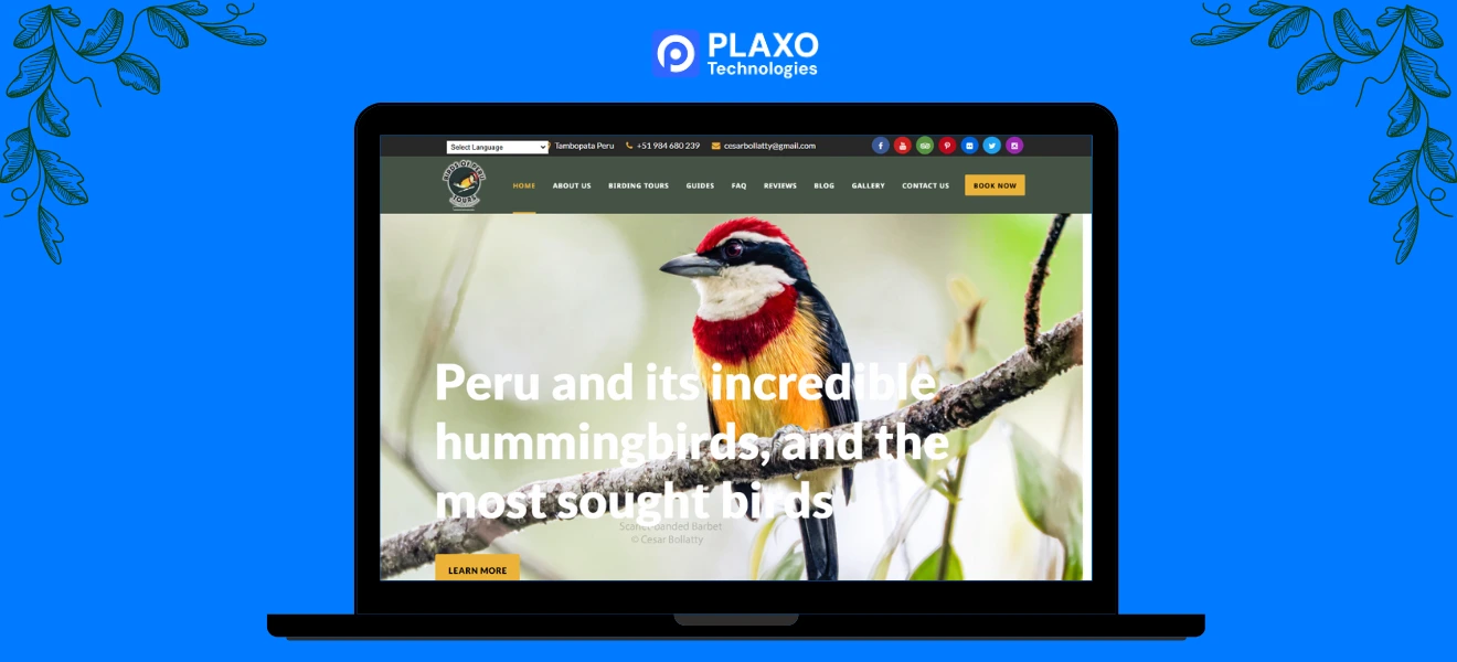 Birds of Peru Tours SEO Portfolio